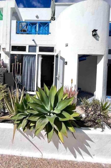 17 Puerto Del Carmen Blueshark Apartment Luaran gambar